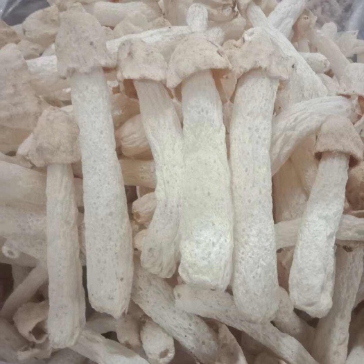 根根完整无碎宜宾短裙未开伞嫩竹荪干货特产无硫竹荪500g