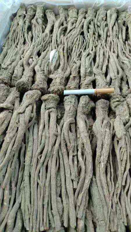 【当归原条】新货无硫，甘肃岷县原产地直发