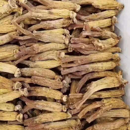 昆明高丽参