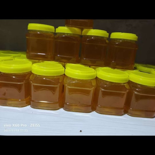 新疆天然百花蜜  营养滋补