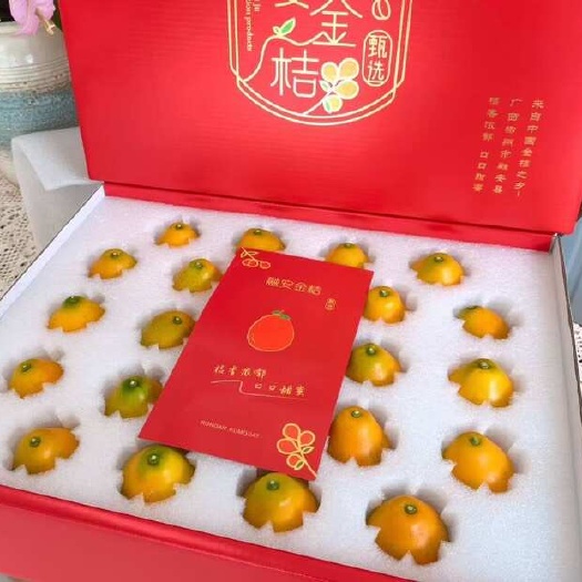 融安县广西融安脆蜜金桔新鲜水果多汁整箱批发零售