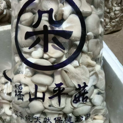 江华县姬菇