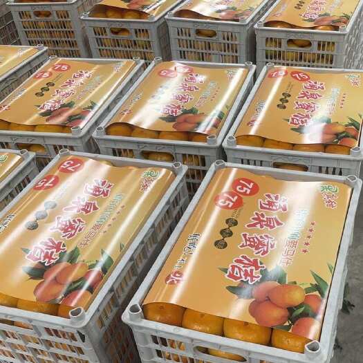 三门县新鲜蜜桔浙江省台州市三门县直供甜润多汁