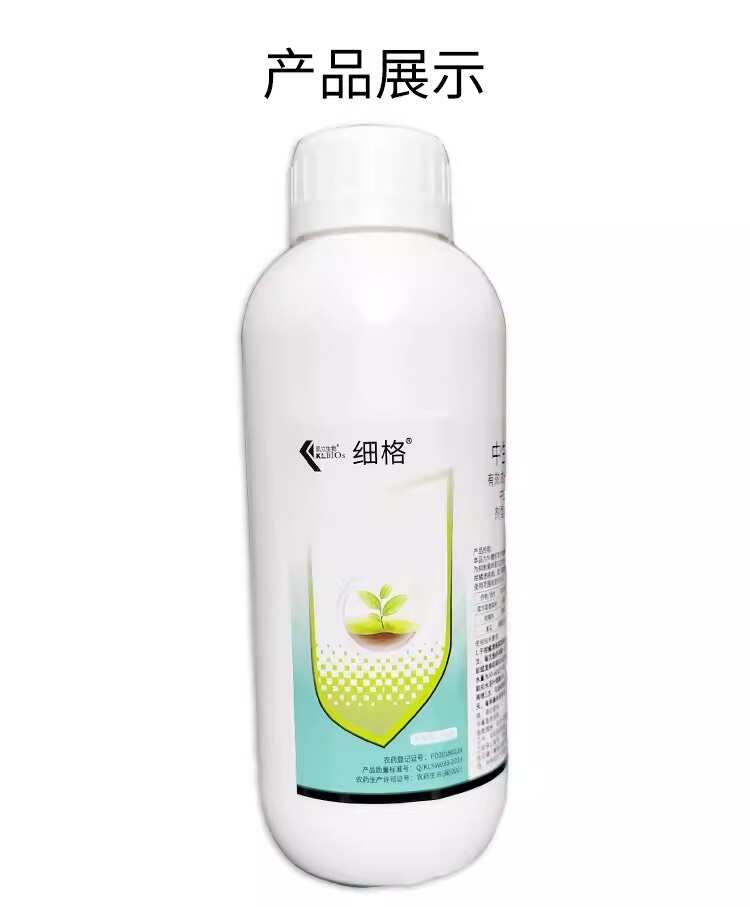 细格3%中生菌素可溶液剂库尔勒香梨树火疫黄瓜细菌性角斑病农药