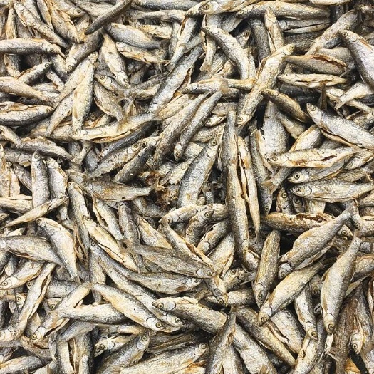 油炸小鱼干 油炸白条鱼 ￼湖鱼 白条鱼批发手工破肚