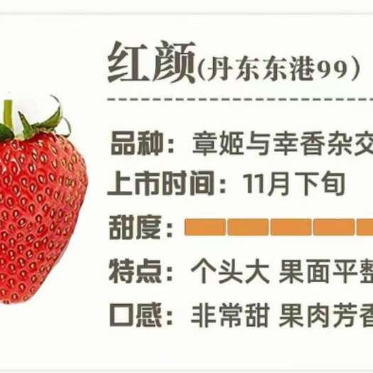 东港市草莓大，甜度高，好吃。