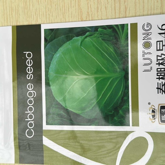 早春温室甘蓝 早熟40天甘蓝种子 抗病 颜色绿 口感好