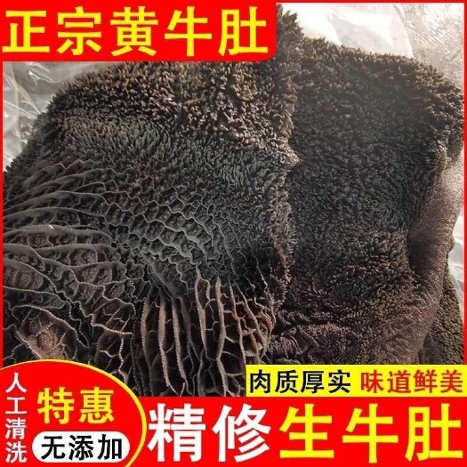 交城县新鲜黑牛肚原切精修牛大肚农家黄牛少油毛肚火锅烧烤炖生牛肚食材