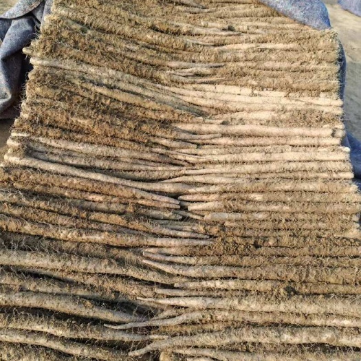 隆尧县白玉通货