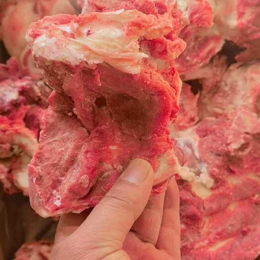 锡林浩特内蒙古锡林郭勒优质牛骨 新鲜发货 牛肉副产品优选