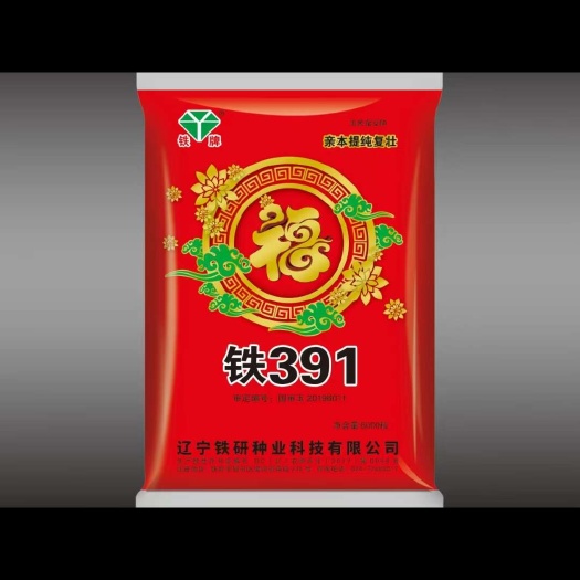 铁391抗倒扶抗旱耐涝不秃尖产量高