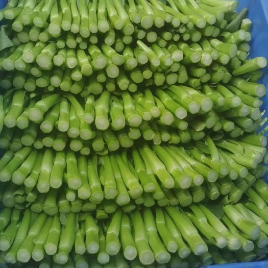 惠州广东靓尖叶菜心