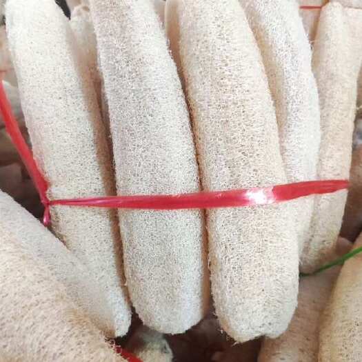 衡阳精品丝瓜络46一斤 50斤起批