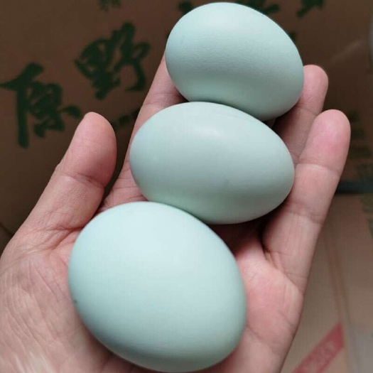 长沙县精品特大个绿壳蛋 农家绿壳土鸡蛋 主喂玉米南瓜青菜口感纯正