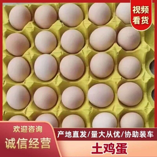 长沙县精品农家土鸡蛋新杨黑粉八双色增香新鲜直供大量供货