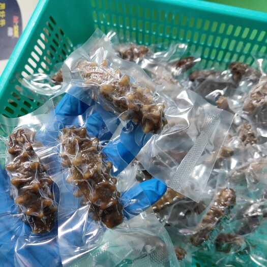 泉州【京东包邮】鲜食刺参20-30头即食海参批发海鲜食材非干货