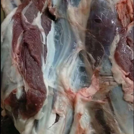 伊宁市牛腱子现货 需要的老板联系