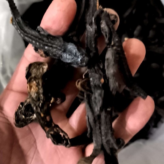 亳州羌活鱼  红杉鱼白龙小鲵科大鲵接骨丹中药材批发零售各种中药材