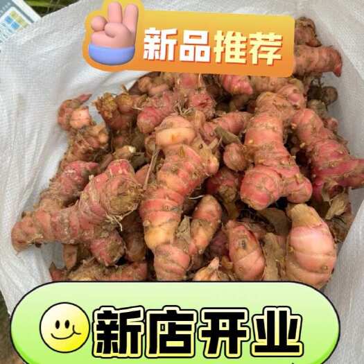 苍梧县深山新鲜精选高山山姜牛羊肉火锅卤味去膻提味调料南姜