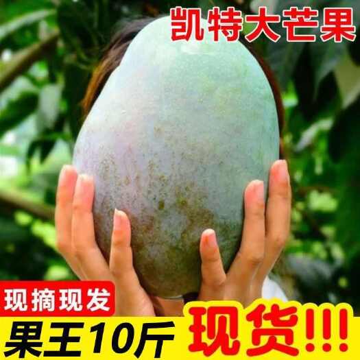 攀枝花9斤四川攀枝花凯特芒果特大超大皮薄肉厚新鲜水果