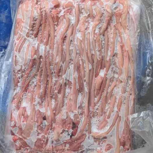 博白县猪鞭便宜