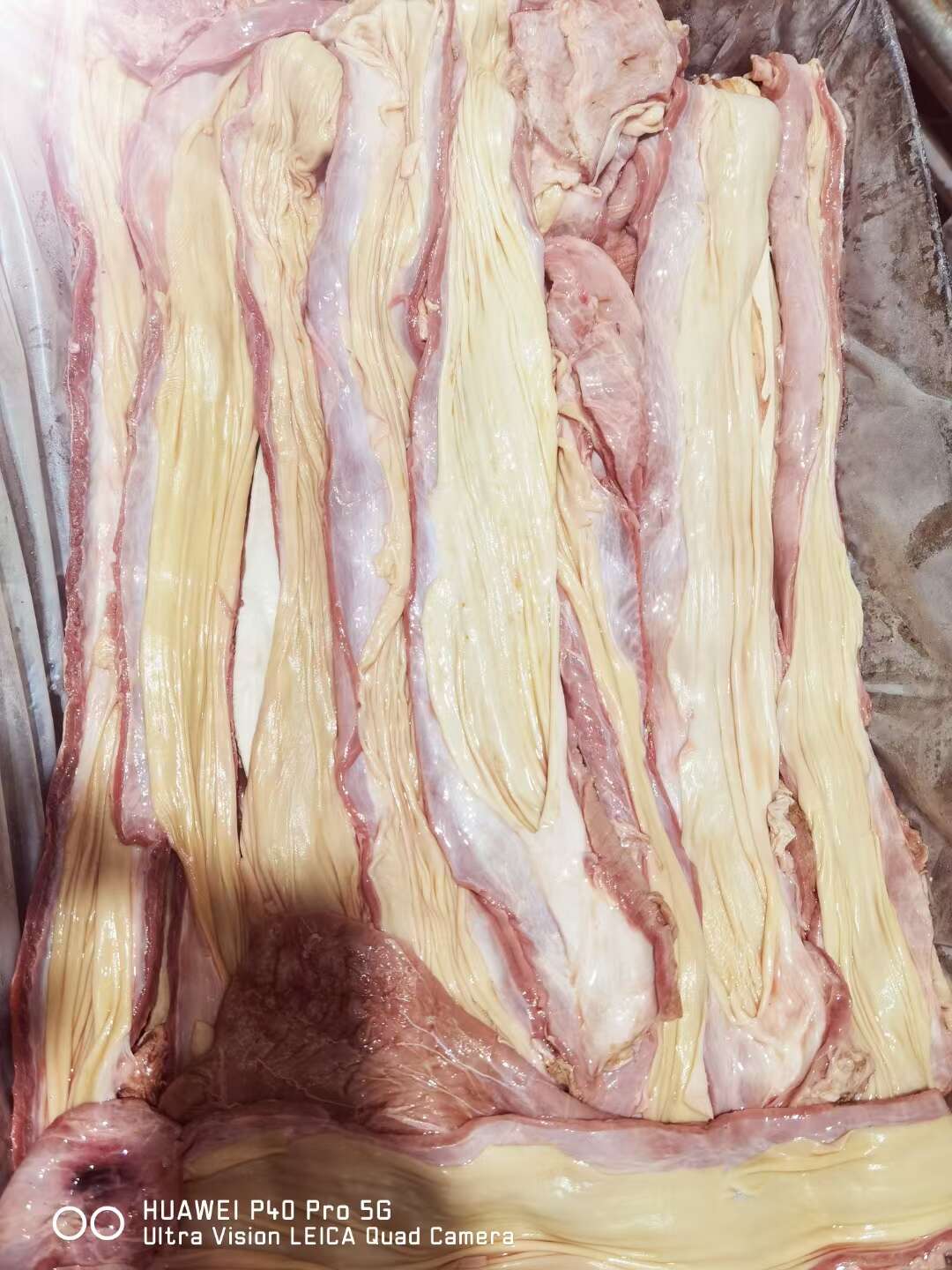 锡林浩特【牛红肠】当地草原黄牛的，清洗干净生的带自然油！支持线上交易