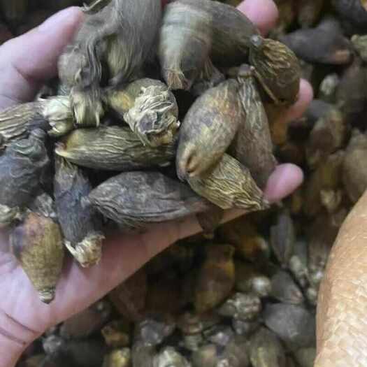 南宁槟榔