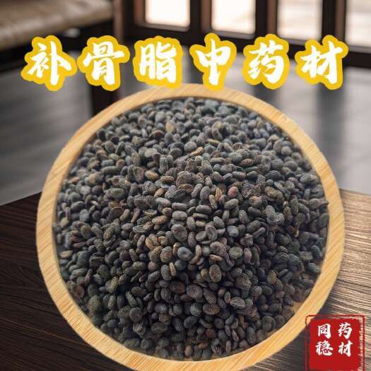 鄄城县山东鄄城优质补骨脂药材 同稳药材专业批发各种中药材