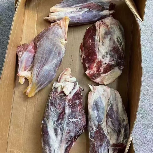 苏州美国1361金钱腱