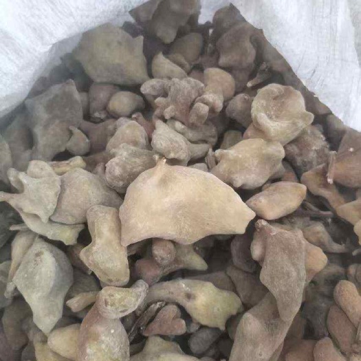五倍子   大别山非人工种植   包邮
