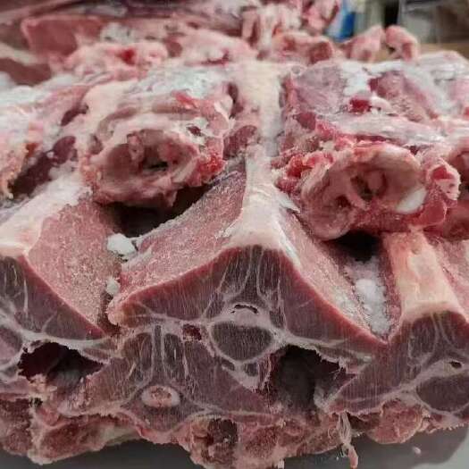河间市羊蝎子羊龙骨，羊脊骨，本地羔羊，内蒙羔羊，加肉，肉多，