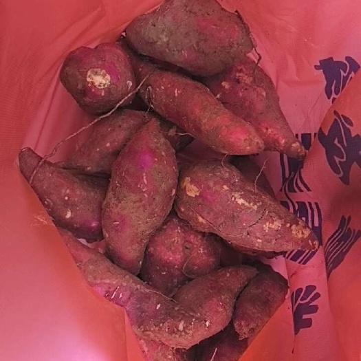 溧阳市红薯，常州溧阳本地