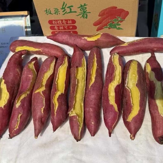 宝鸡精品板栗红薯 红皮 3 两起步