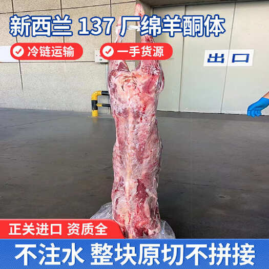 烟台羊酮体新西兰