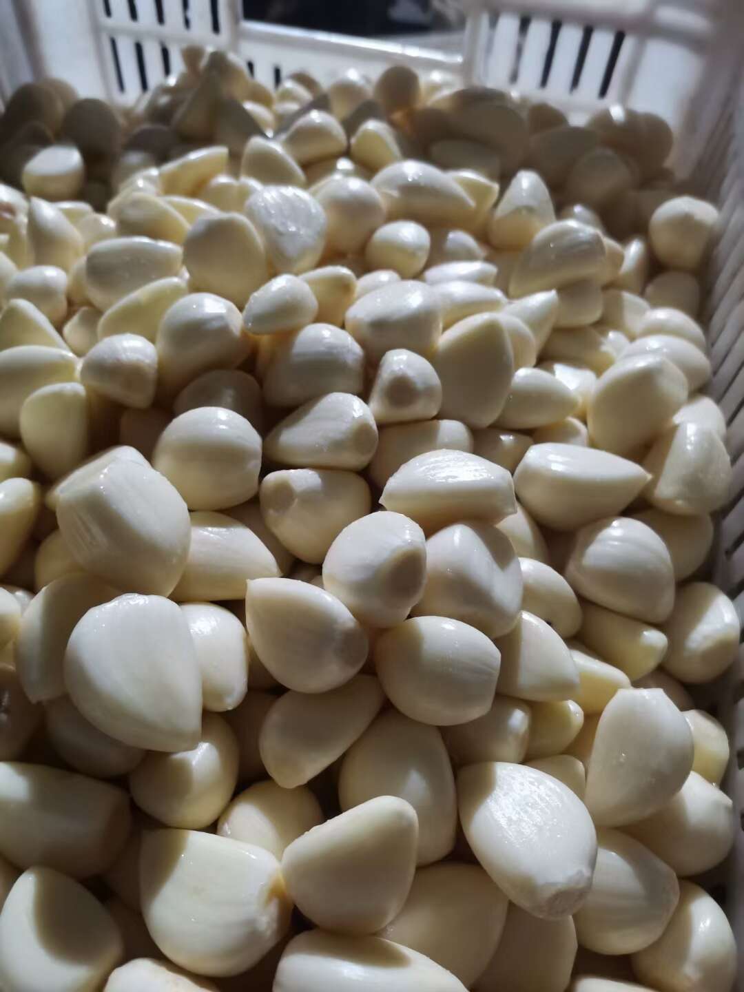 苍山四六瓣蒜米 大颗粒7小颗粒6