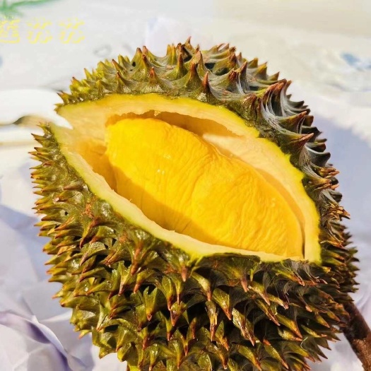 佛山【一件代发】泰国液氮金枕锁鲜干尧金枕各种规格支持电商一件代发