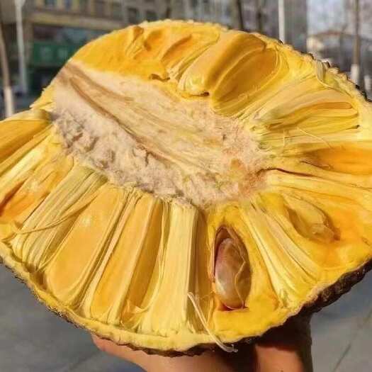 杭州菠萝蜜