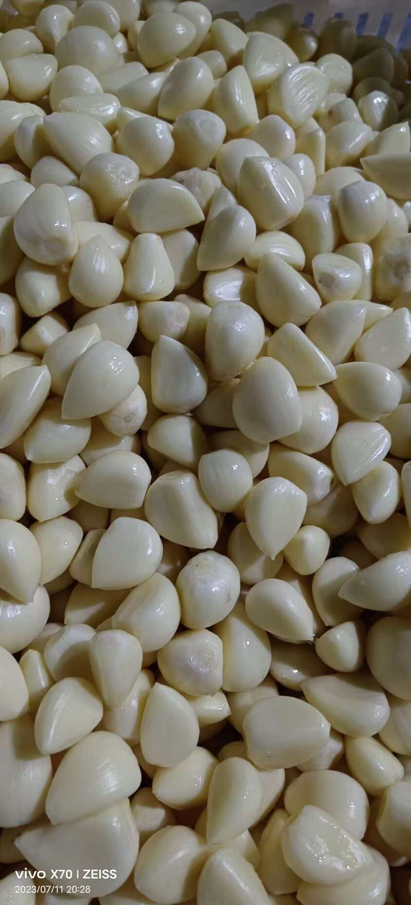 苍山四六瓣蒜米 大颗粒7小颗粒6