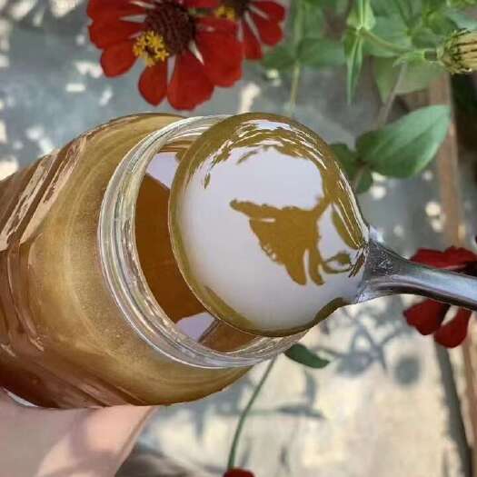 黟县土蜂蜜