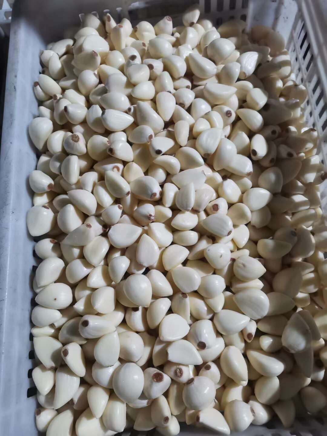 苍山四六瓣蒜米 大颗粒7小颗粒6