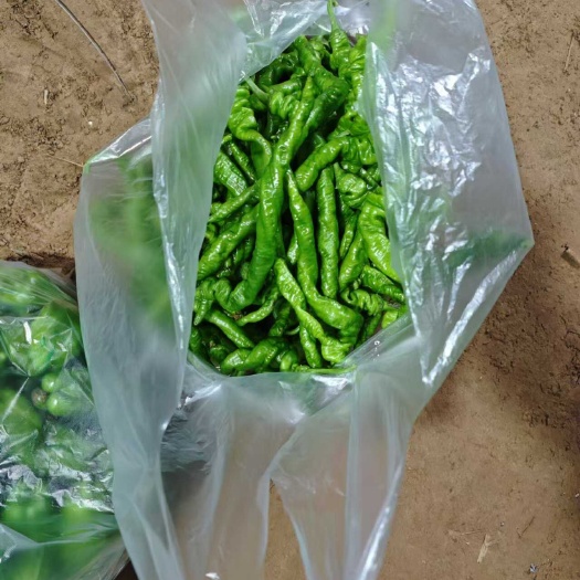 螺丝椒