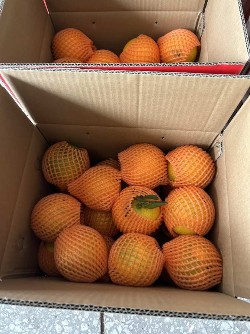 精品九月红橙 湖北秭归特产 65-85mm甜润多汁