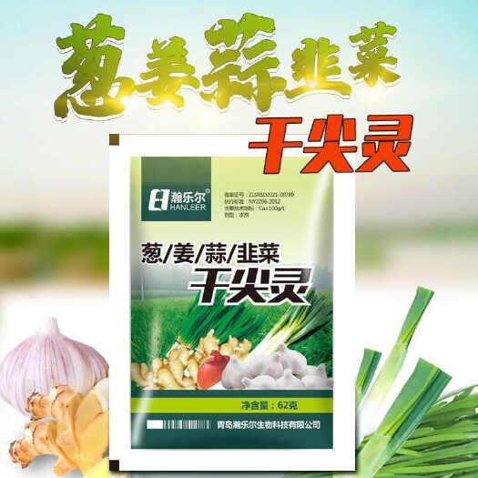 滨州黄叶干尖灵韭菜大蒜姜葱预防干尖黄叶灵