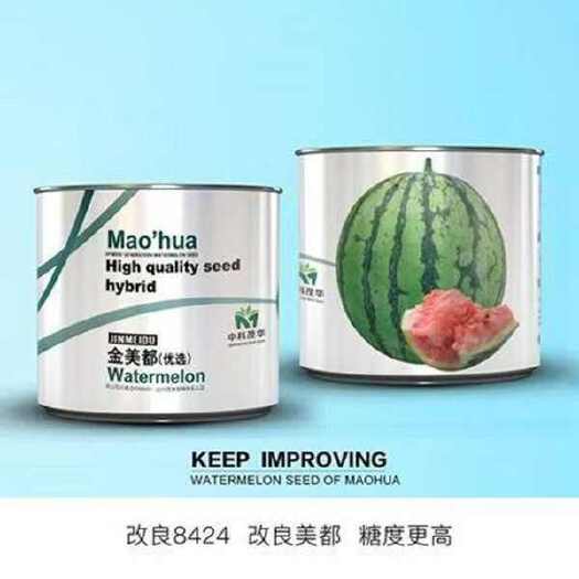 沭阳县美都西瓜种子金美都西瓜种子红瓤耐裂早熟大果美都麒麟京欣圆瓜种