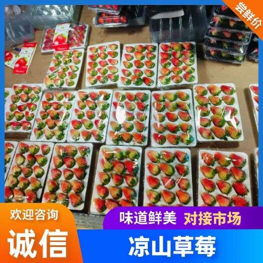 德昌县大凉山精品冬草莓亮盒PD盒装全尺寸包装发全国空运陆运都有