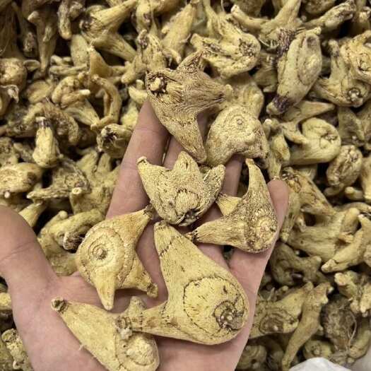 昆明白芨新货 云南全干货 一手货源 大货批发