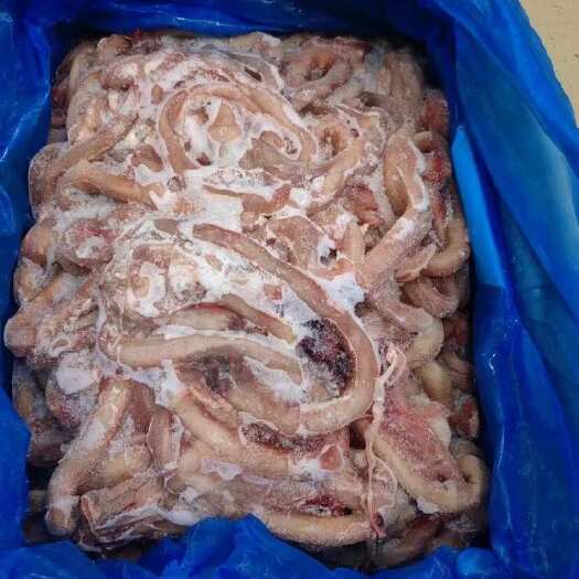 上海西班牙2453猪鞭