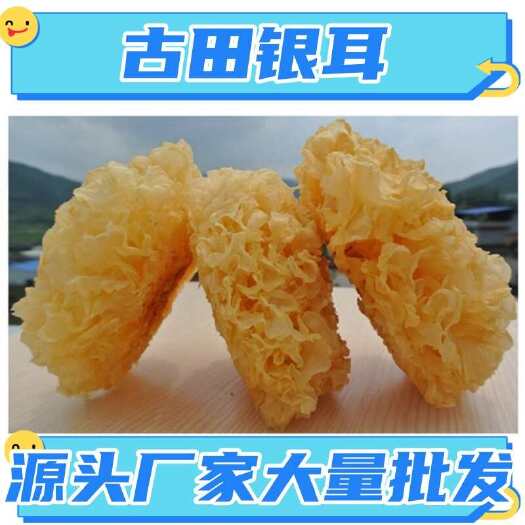 古田县古田银耳 无硫雪耳 大花银耳干货 各种规格齐全 支持代办