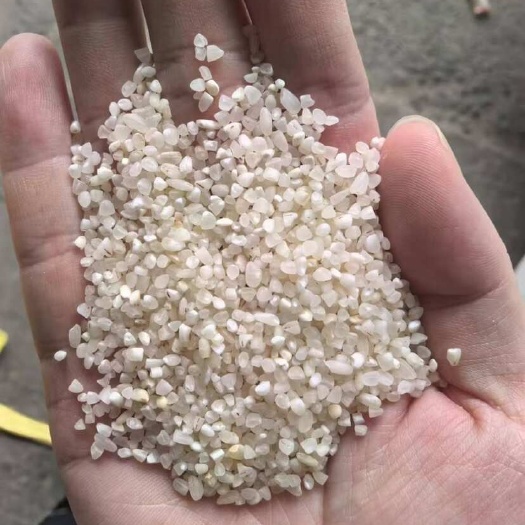 巢湖老米粳米抛光碎