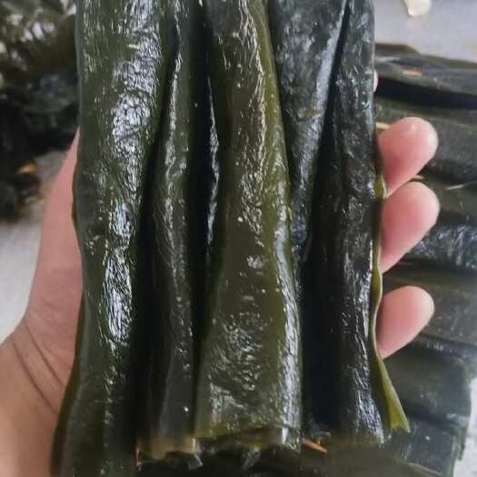 东平县海带卷